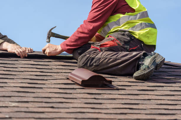 Best Metal Roofing Contractor  in Roundup, MT