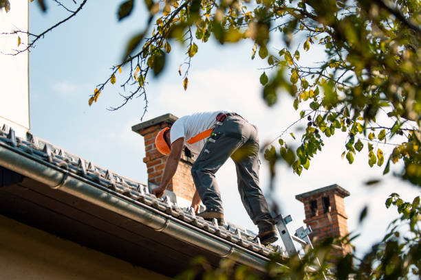 Best New Roof Installation  in Roundup, MT