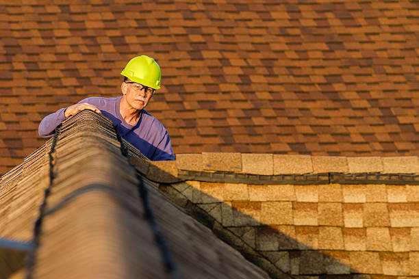 Best Roof Gutter Cleaning  in Roundup, MT
