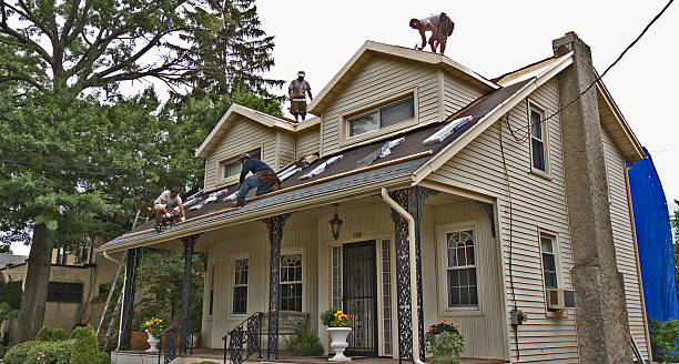 Best Shingle Roofing Installation  in Roundup, MT