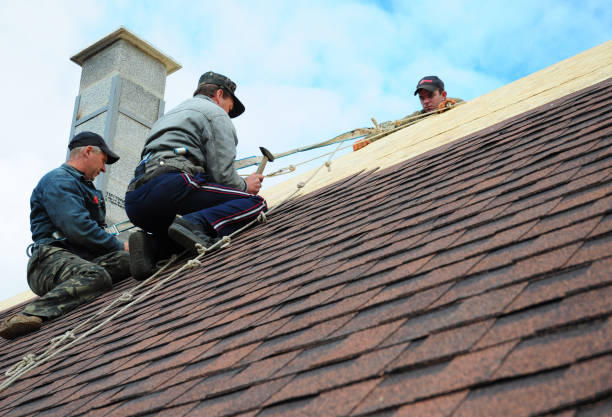 Best Emergency Roof Repair  in Roundup, MT
